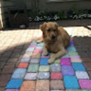 Meet your Posher, Mari